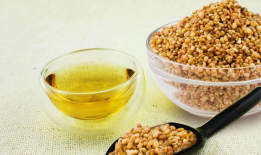 天麻豆是不是鹰嘴豆,探寻两种豆类的异同